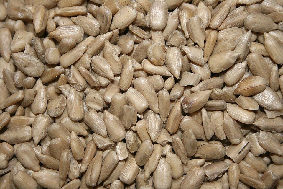 風鈴草花語,櫻花草的花語,綠蘿花語,米花的花語,梔子花花語